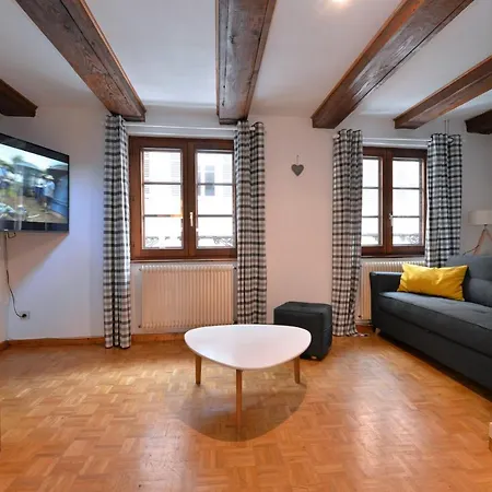 La Grande Terrasse Du Centre Apartment *