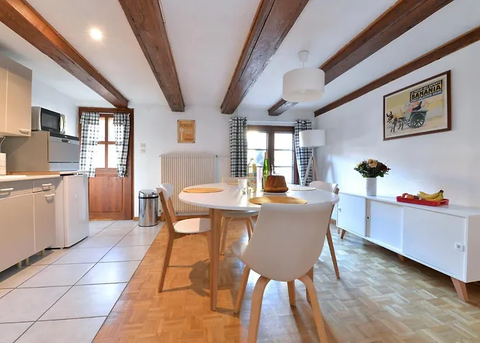 Daire La Grande Terrasse Du Centre Colmar