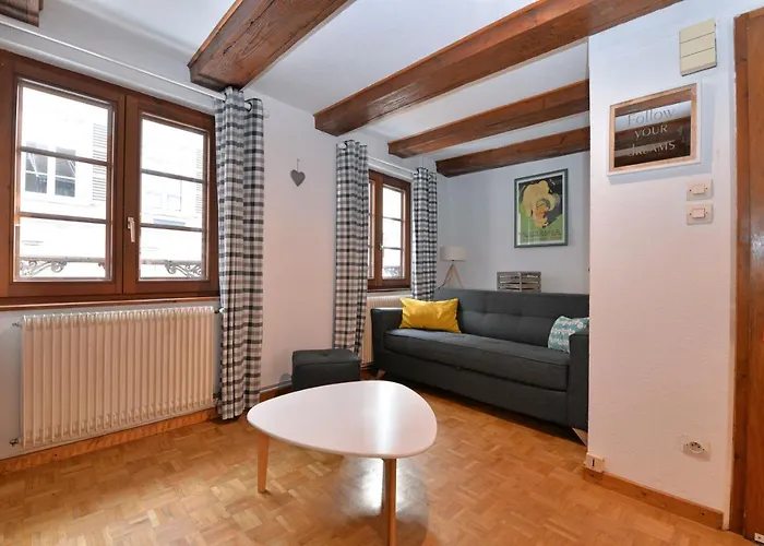 La Grande Terrasse Du Centre * Colmar