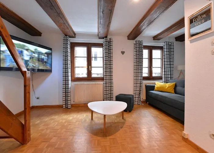 La Grande Terrasse Du Centre Apartment *